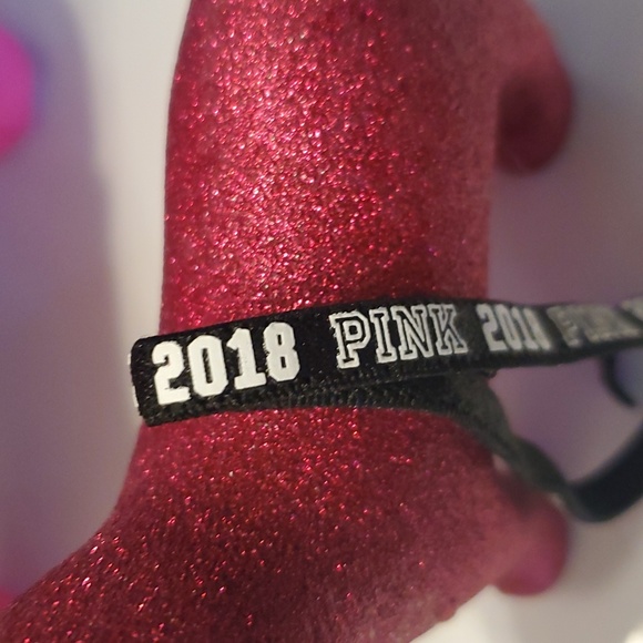 VS Pink Washington State Cougars Mini Dog and 2018 Ornament - Picture 4 of 4